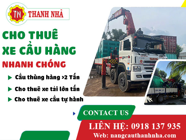 ĐỪNG PHÍ TIỀN THUÊ CẨU LỚN NẾU BẠN CHỈ CẦN NÂNG KIỆN HÀNG DƯỚI 3 TẤN!